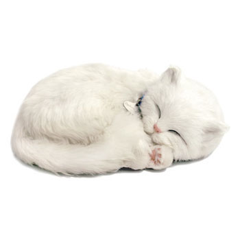 Perfect Petzzz: White Shorthair Cat Perfect Petzzz: White Shorthair Cat