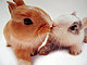 bunnychick