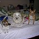PoochMama4two