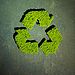 5 little ways to living a greener life.