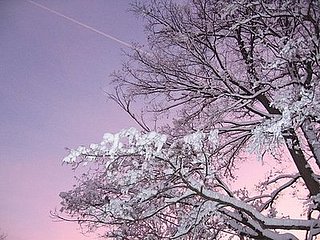 Midday Muse: Winter Sunsets