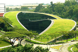 Casa Verde: Design-Savvy Green Roof