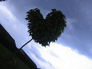 Midday Muse:  Happy Valentine's Day