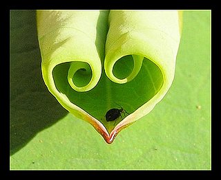 Midday Muse: Love Is Where You Find It