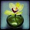 Casa Craving Challenge: Verdant Vases