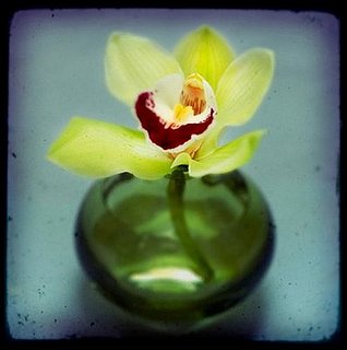 Casa Craving Challenge: Verdant Vases