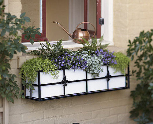 Steal of the Day:  Fleur-de-Lys Window Boxes