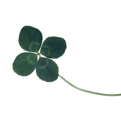 Roundup:  St. Patrick's Day Inspirations