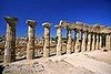 Casa Quiz: Greek Columns