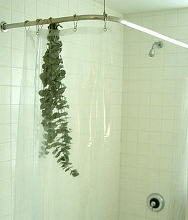Casa Quickie: Bathroom Eucalyptus