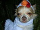 roxyb's picture