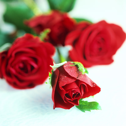 6 Ideas For a Recession-Proof Valentine's Day! 6 Ideas For a Recession-Proof Valentine's Day!