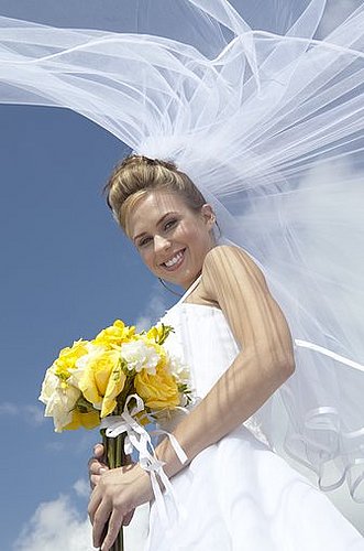 Dear Quiz: Do You Have Bridezilla Tendencies?