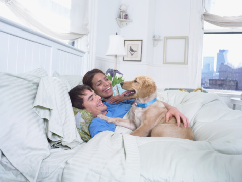 Relationship Protocol: Did You Take Baby Steps in Your Relationship? 