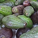 Avocados