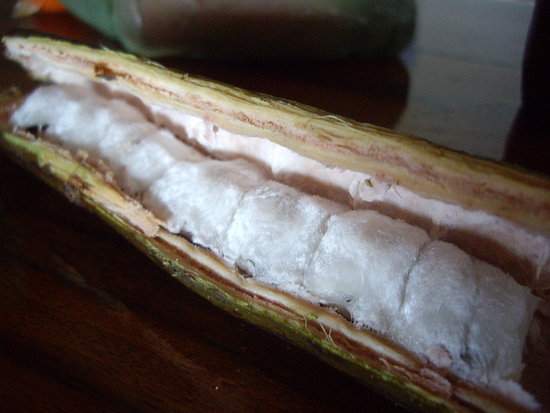 Guaba