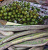 The Fruit of Costa Rica