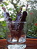 Mexican Hot Chocolate Popsicles