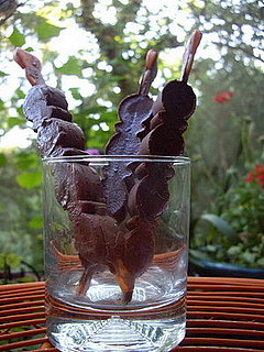 Mexican Hot Chocolate Popsicles