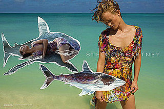 Fab Ad: Amber Valletta For Stella McCartney 