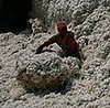 Want Cheap Clothes? The Cotton Industry's Not 100% Fit 
