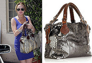 Found! Lindsay Lohan's Metallic Python Bag 