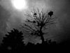 I Love Your ShopStyle: A Decadent Halloween 