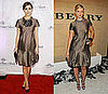 Who Wore It Better? Burberry Metallic Tiered Dress 