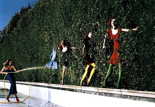 Do You Prefer Being a Wallflower or Standing Out in a Crowd? 