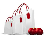 2008 Holiday Gift Guide 
