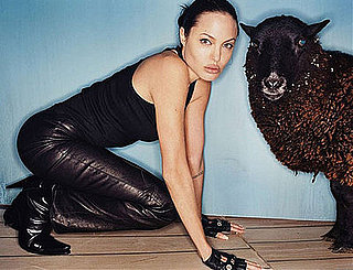 Would You Wear Leather Pants? 
