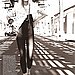 Girls on Film: Sasha Pivovarova, Vogue UK, January