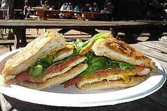 Sunny Chicken Sandwich