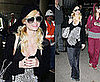 Is George Clooney Dating Paris Hilton?