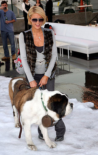 Sundance Sundance