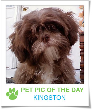 Pet Pics on PetSugar 2009-01-15 09:30:37