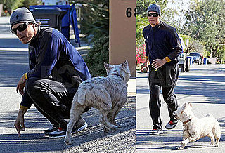 Photos of Matthew McConaughey Out for Jog with His Dog