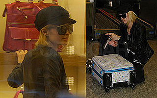 Paris Hilton Tries To Buy A Cheetah