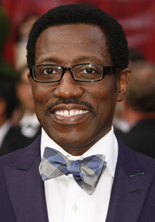 Wesley Snipes Granted Bail Yesterday