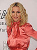 Are You Interested in the Madonna Book?