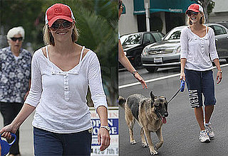 Photos of Reese Witherspoon Walking Jake Gyllenhaal's Dog Atticus