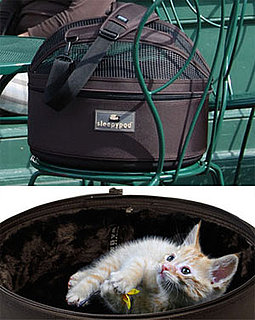 Sugar Shout Out: Win A Kitty Carrier!