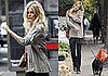 Photos of Sienna Miller and Mother Walking Dogs