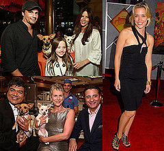Beverly Hills Chihuahua Hits LA With Its Tail Wagging Beverly Hills Chihuahua Hits LA With Its Tail Wagging