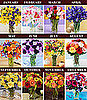 Sugar Shout Out: Win Twelve Months of Flowers!