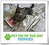 Pet Pics on PetSugar 2008-11-13 09:30:12