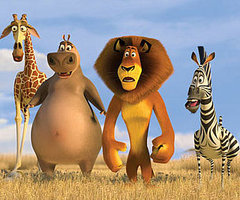 Photo of Madagascar: Escape 2 Africa, Which Earned $63.5 Million at the Top Spot of the Box Office Photo of Madagascar: Escape 2 Africa, Which Earned $63.5 Million at the Top Spot of the Box Office