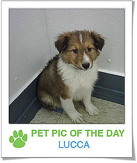 Pet Pics on Petsugar 2008-11-24 09:30:51