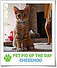 Pet Pics on PetSugar 2008-12-05 09:30:55