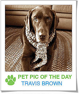 Pet Pics on PetSugar 2008-12-12 09:30:10
